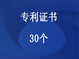 专利认证